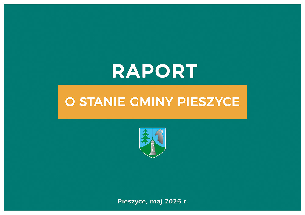 Raport o&nbsp;stanie gminy