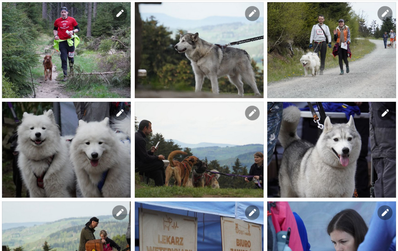 dogtrek