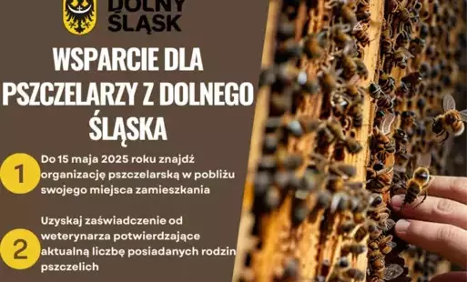 Zdjęcie do Wsparcie dla pszczelarzy z Dolnego Śląska